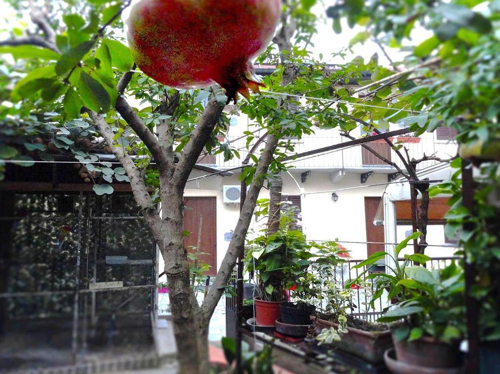 La Casa Di Margit Leilighet Nova Milanese Eksteriør bilde